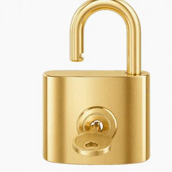 Open padlock — Love
